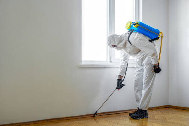 Best Pest Prevention Services  in Centerville, GA