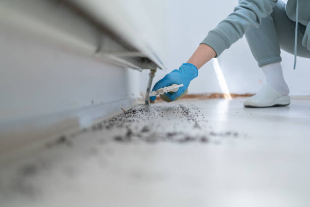 Best Affordable Pest Control Services  in Centerville, GA